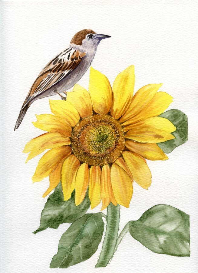 Bird with Yellow Flower