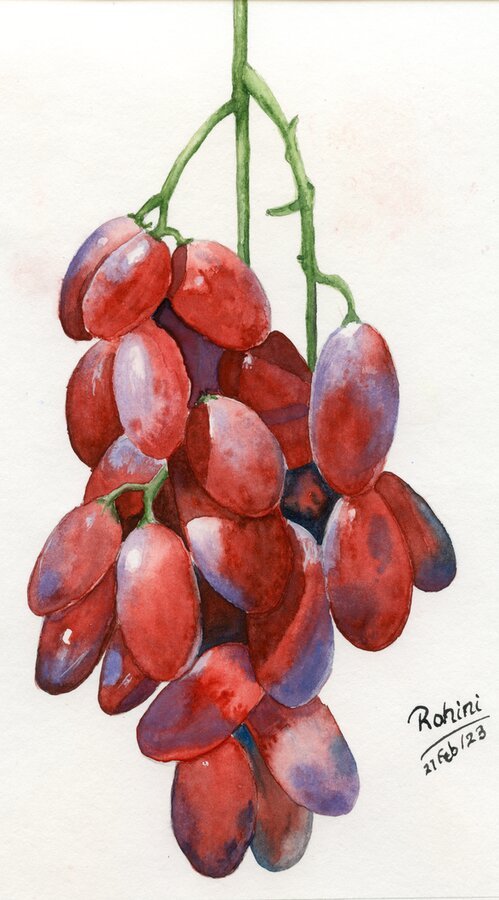 Grapes