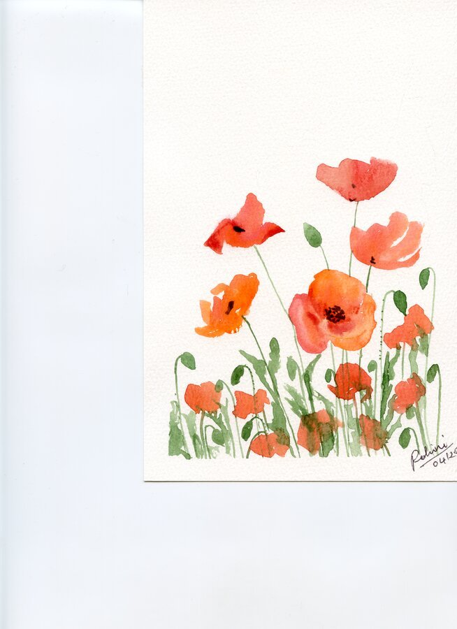Poppies