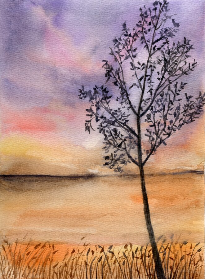 Single Tree Landscape