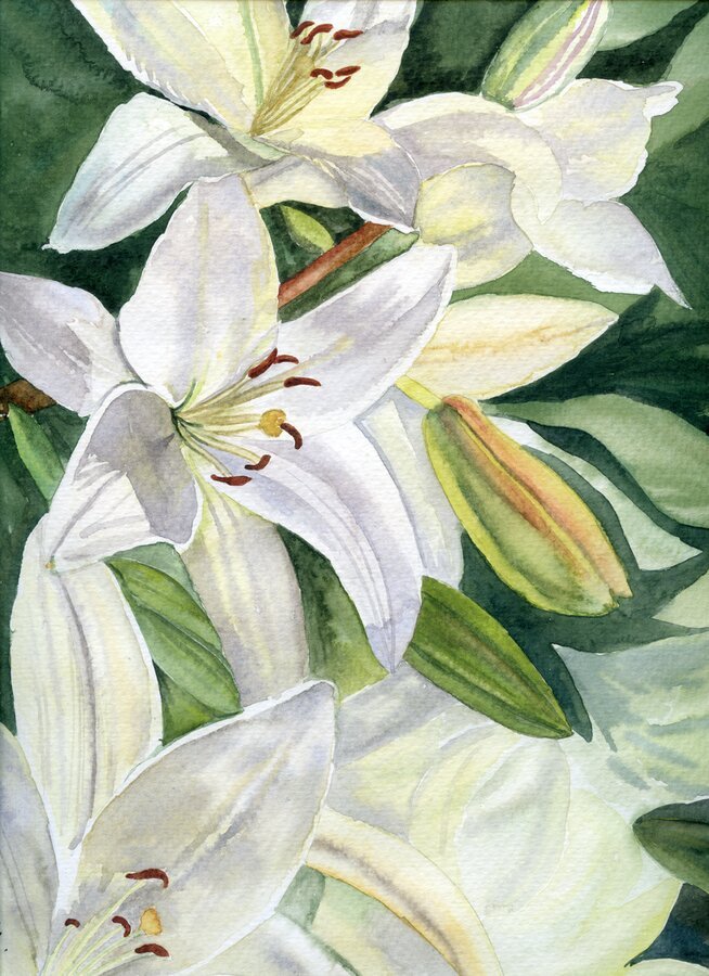 White Lilies
