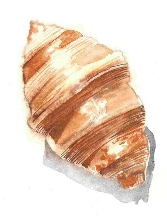 Watercolor Painting Kit contents